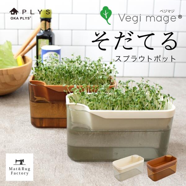 PLYS ベジマジ そだてる スプラウト 栽培 キット 容器 家庭菜園 プランター おすすめ おしゃれ 種 種子 オーガニック 野菜保存 ベジタブル 野菜 ブロッコリースプラウト フードロス ヒルナンデス おうち時間 おうちでベジ オカ