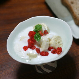 ■磁器赤土高台フルーツ鉢■和食器 陶芸 美濃焼 鉢 小鉢 取り鉢 盛り鉢 大鉢 めん鉢 サラダ カレー パスタ 美味しい 結婚祝い プレゼント 素敵 陶器 手作り おしゃれ かわいい モダン 誕生日 お祝い