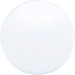 ¬ 71813 顼ޥͥå 20ӥ 10