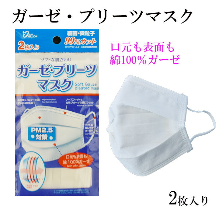 【送料無料】【ポスト投函】ガーゼプリーツマスク　2枚入　ふつうサイズ　ガーゼ　PM2.5