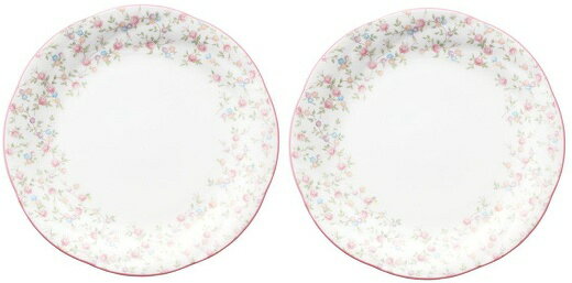 ノリタケ＜Noritake＞キューティーローズ 18.5cmプレート2枚セットプレゼント ギフト 贈リ物 祝 お祝い 記念品 食器 セット 可愛い 引き出物 引出物 内祝い お返し 出産内祝い 快気祝い