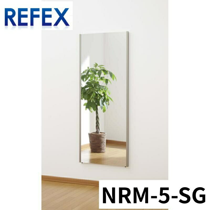 Jフロント建装 ビッグ姿見ミラー 600mm*1500mm飾り縁：太 SG・シャンパンゴールド NRM-5-SG ミラー壁掛け全身鏡フィルムミラー(3.0)