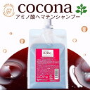 【ブラックフライデーP5倍&限定クーポン】 ★★本物アミノ酸 ヘマチン シャンプー オールインワン 詰め替 高評価4.7 美容室専売 白髪 低刺激 育毛 髪質改...