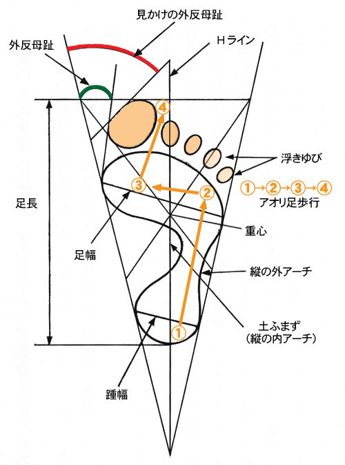 楽天市場】【LINEクーポン】 JESシューズ JES2102 マジック