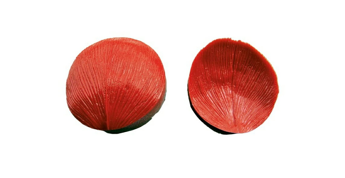 【10%OFF】【デコレリーフ】シリコン葉型　E104 / 60×50mmマトファ フランス 製菓道具 飴細工 ピエスモンテ