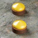 【20%OFF】【パボーニ】PavoFLEX(パボフレックス) 300x175mmフリスビー/PX3208 Φ60xH28mm 8Pマトファー マトファ パボー...