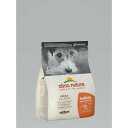 almo nature アルモネイチャー ホリスティックドライフード 小型犬用 サーモン 2kg 犬用 ドッグフード almo nature holistic MAINTENANCE 正規品【PU0704】PU0711