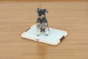 ボンビアルコン しつけるトレー ツーウェイ アイボリー 犬用 トイレ 男の子 女の子(4)