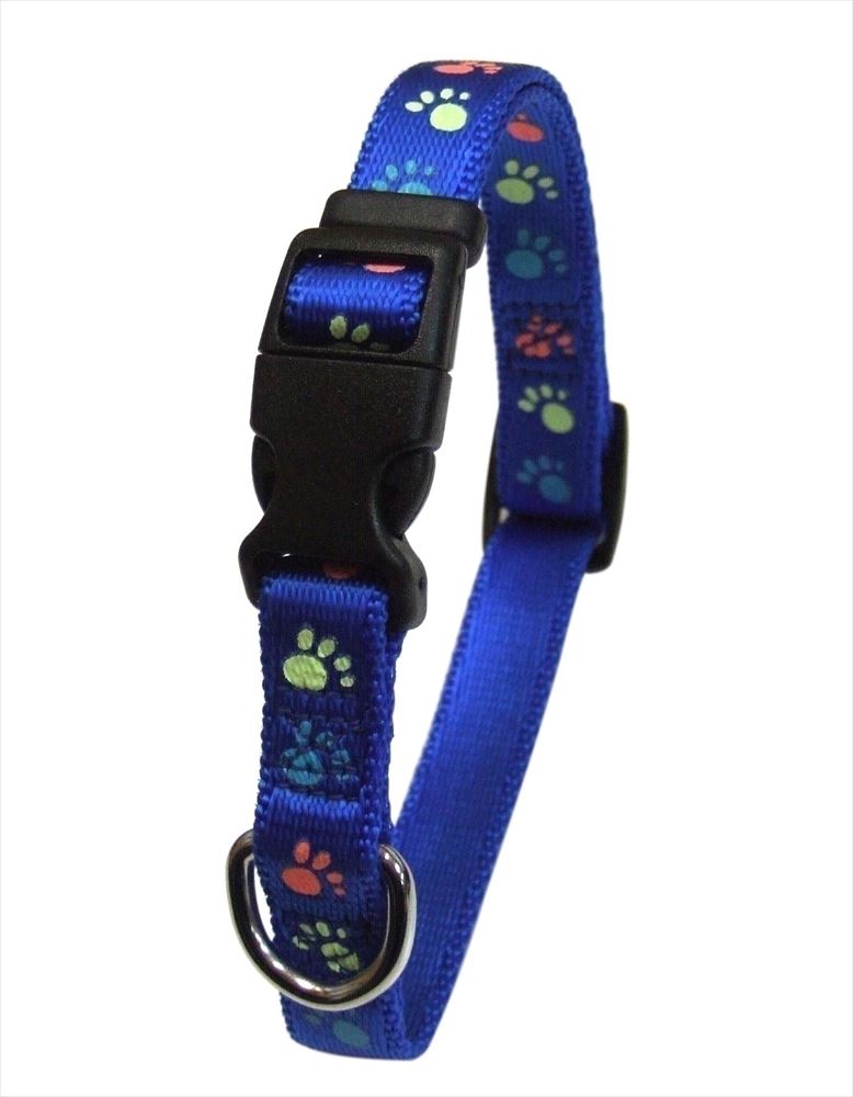 蓄光フットカラー ＃20 ブルー 中型犬用 首輪