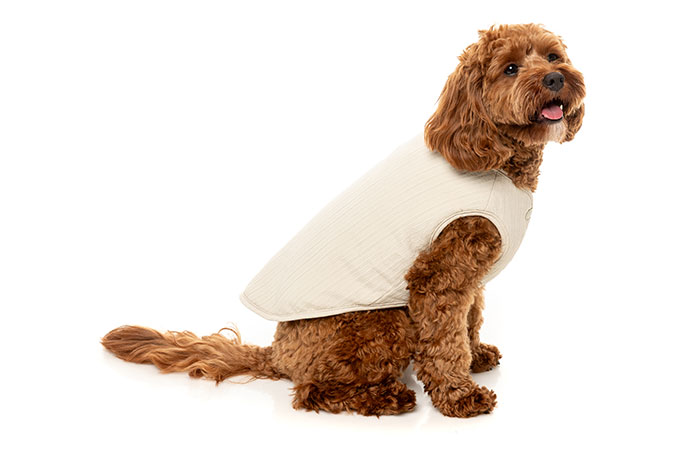 2025年新作 FuzzYard Umeda Jacket ウメダ ジャケット - ボーン/グリーンサイズ3 犬用リバーシブルジャケット ベスト 防寒用 裏起毛 冬服