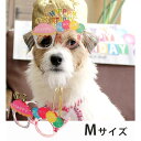 LIFELIKE ライフライク プレミアム バースデー メガネ M 誕生日グッズ