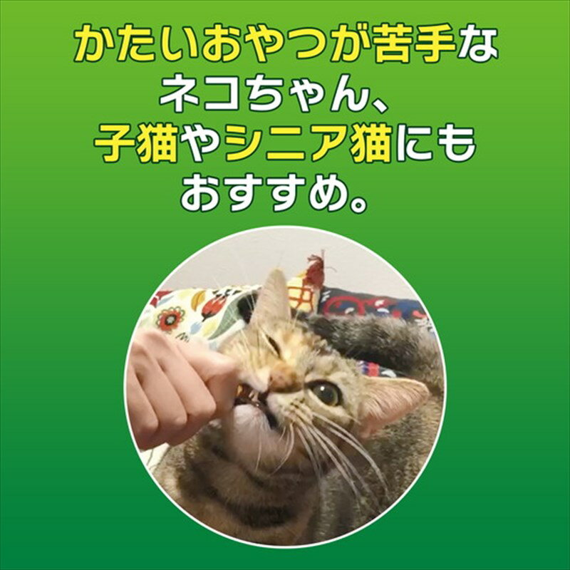 ライオン PETKISS ネコちゃんの歯みがきおやつ やわらか チキン味 14g 猫用デンタルケア ネコポス可[M便 1/6] 3