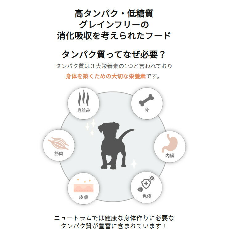 nutram �˥塼�ȥ��T26 �������Ʀ 2kg �� �ɥ饤�ա��� ������ܿ� �淿�������緿������ �ɥå��ա��ɡ�PU0304��