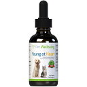Pet Wellbeing ペットウェルビーイング 液体サプリシリーズ Young at Heart for Dog & Cat「心臓」59ml ペット用 Young at Heart 【nov14】