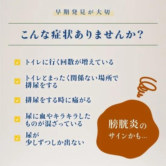 賞味期限切迫2025年6月24日【猫】Monge VetSolutionベッツソリューション 尿中ストルバイトサポート 100g キャットフード 療法食 ウェットフード 正規品PU0129【0204PU】