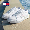 【正規品】TOMMY HILFIGER トミーヒルフィガー CAYMAN 3.0 ケイマン 3.0 TH101073