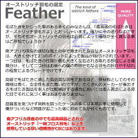 最高級オーストリッチ毛ばたきCB(シービー)F500【送料無料!】//毛バタキ//