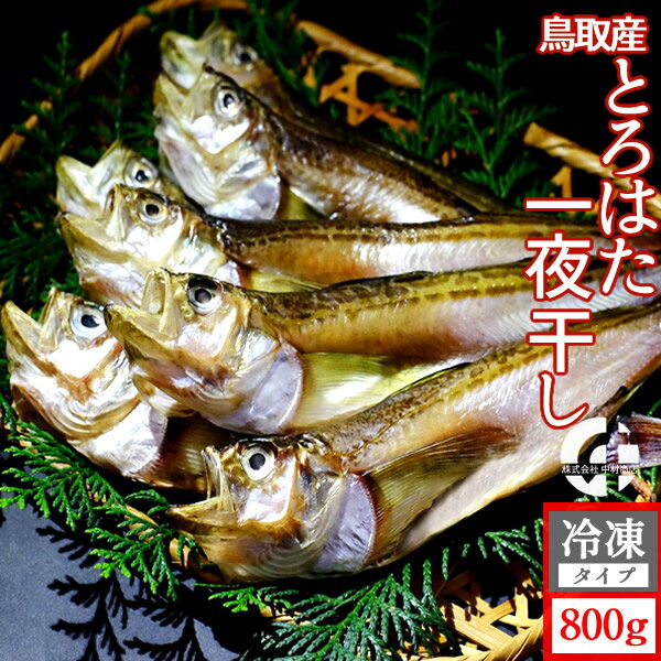 とろはた ハタハタ一夜干し 大ぶりのはたはた 日本海 鳥取県 酒の肴 希少価値 20cm以上 【送料無料】