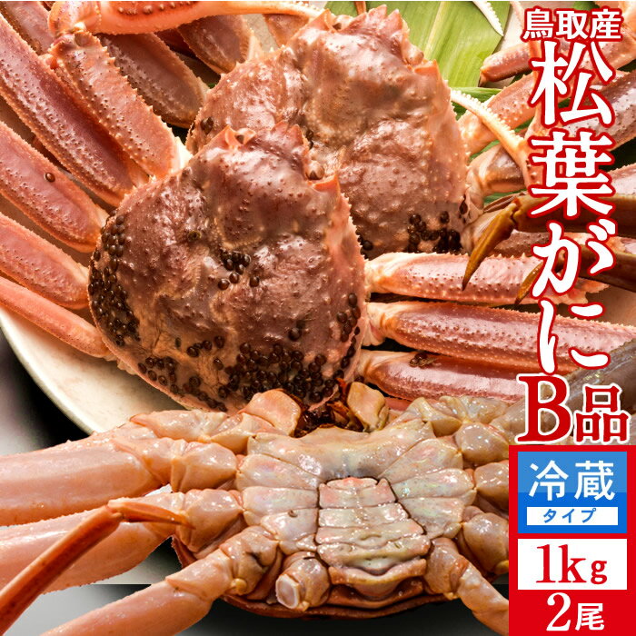 եˡε ʪϾճ Bʡá1kg2å 襬  达ե ճ Ļ踩 ľ ޥĥХ 櫓 磻...