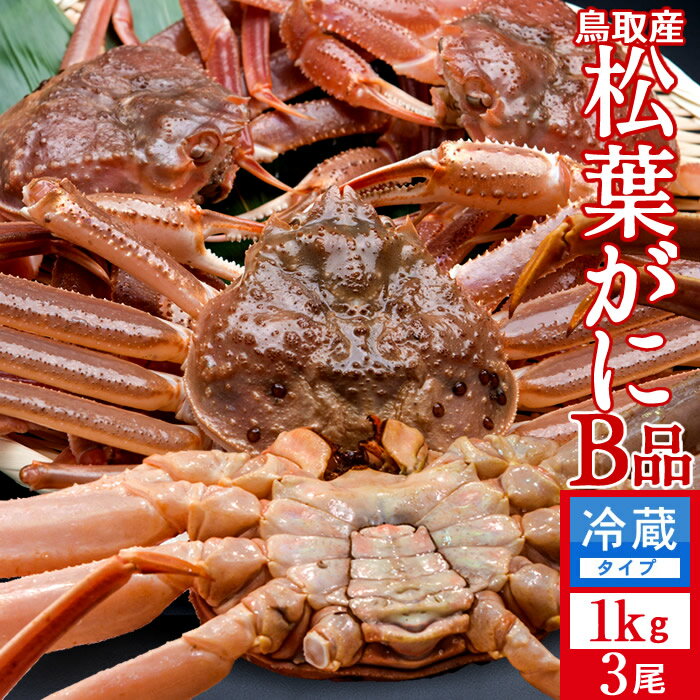 եˡε ʪϾճ Bʡá1kg3å 襬  达ե ճ Ļ踩 ľ ޥĥХ 櫓 磻...