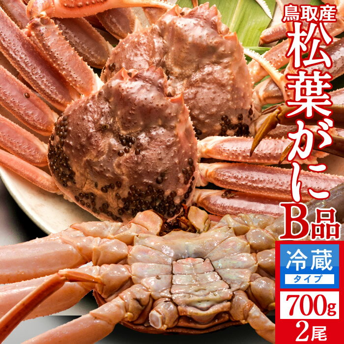 եˡε ʪϾճ Bʡ700g2å 襬  达ե ճ Ļ踩 ľ ޥĥХ 櫓 磻ˡ...