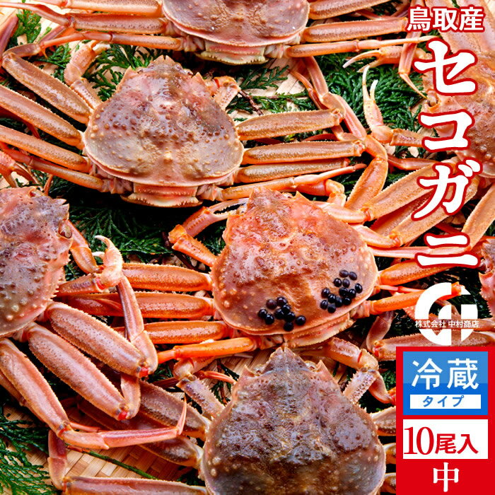 香箱がに せこ蟹 せいこ蟹【新物】中1.3kg（10尾入）活ガニ かに セコガニ 生き蟹 松葉蟹のメス 鳥取県産 通販 産地直送 せこ蟹 せいこがに 親蟹 おすすめ［お歳暮 ギフト］