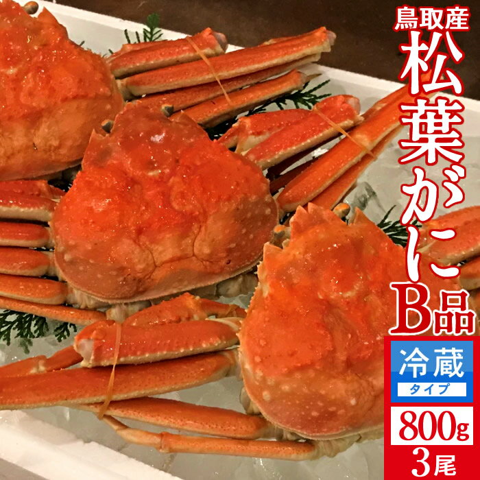 松葉ガニ［漁解禁 新物］松葉蟹 訳あり［B品］特大800g×3尾セット 浜ゆで 松葉蟹 ゆでがに 鳥取県産 産地直送 マツバガニ わけあり ズワイガニ［秋の味覚 ふるさとギフト］