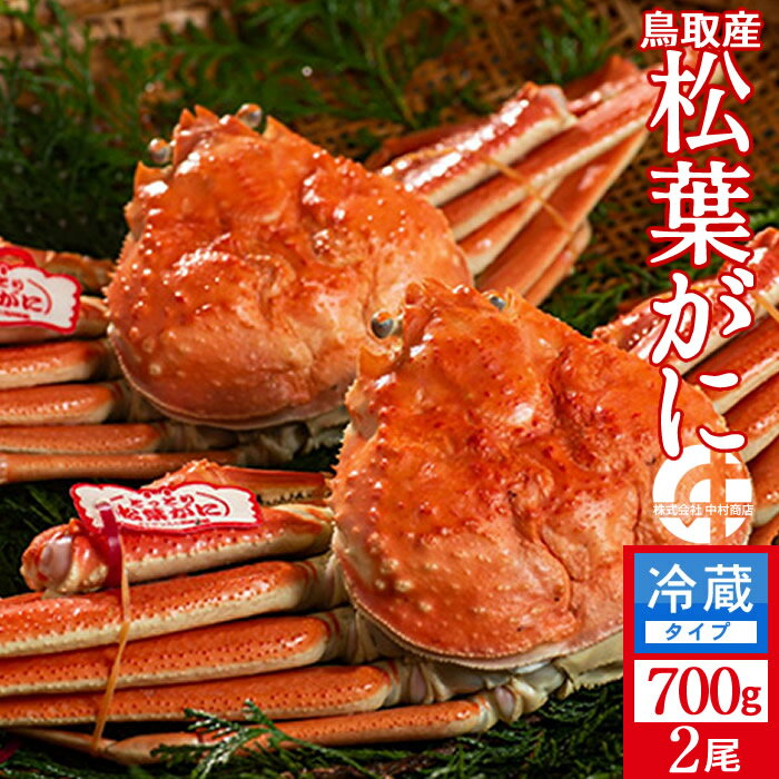 松葉ガニ タグ付き［漁解禁 新物］松葉蟹 大700g×2尾セット 浜ゆで 松葉蟹 ゆでがに 鳥取県産 産地直送 ブランドタグ付きマツバガニ ズワイガニ［秋の味覚 ふるさとギフト］のサムネイル