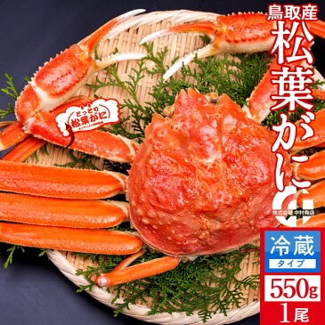 【早期割引】かに 松葉がに 中550g×1尾 浜ゆで松葉蟹 ゆでがに 鳥取県産 通販直送 ブランドタグ付きマツバガニ 日本海ズワイガニ 早割セール
