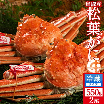 【早期割引】かに 松葉がに 中550g×2尾 浜ゆで松葉蟹 ゆでがに 鳥取県産 通販直送 ブランドタグ付きマツバガニ 日本海ズワイガニ 早割セール