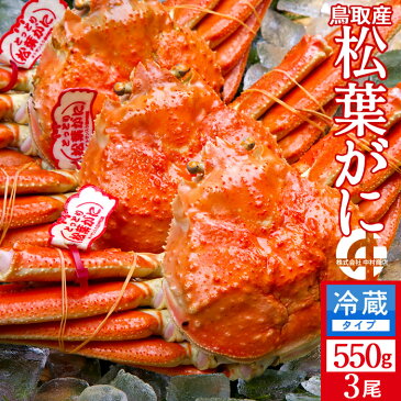 【早期割引】かに 松葉がに 中550g×3尾 浜ゆで松葉蟹 ゆでがに 鳥取県産 通販直送 ブランドタグ付きマツバガニ 日本海ズワイガニ 早割セール