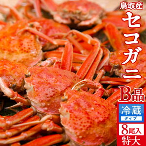 香箱がに せこ蟹 せいこ蟹【新物】訳あり［B品］特大1.6kg（8尾入）浜ゆで かに セコガニ 松葉蟹のメス ゆでがに 鳥取県産 通販 産地直送 せこ蟹 せいこがに 親蟹 おすすめ［お歳暮 ギフト］