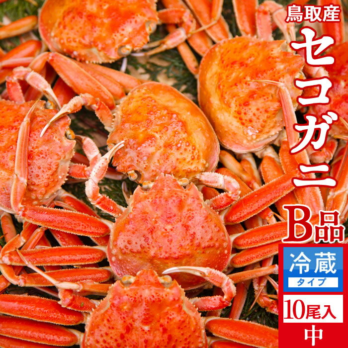 香箱がに せこ蟹 せいこ蟹【新物】訳あり［B品］中1.3kg（10尾入）浜ゆで かに セコガニ 松葉蟹のメス ゆでがに 鳥取県産 通販 産地直送 せこ蟹 せいこがに 親蟹 おすすめ［お歳暮 ギフト］