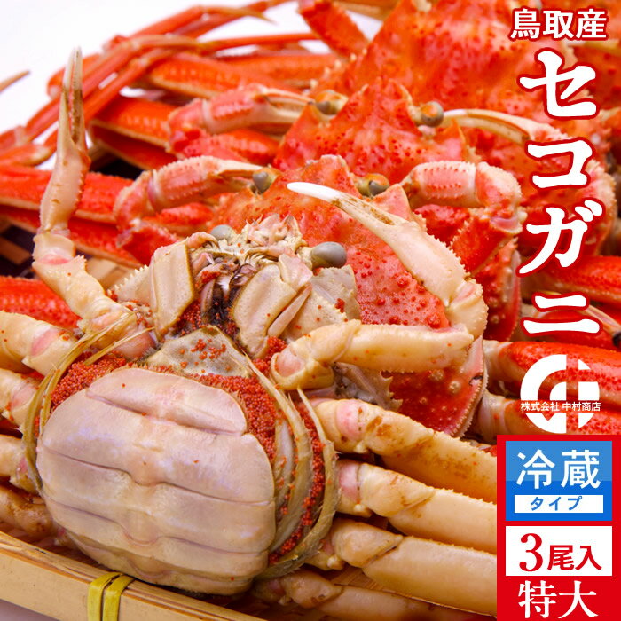 香箱がに せこ蟹 せいこ蟹【新物】特大600g（3尾入）浜ゆで かに セコガニ 松葉蟹のメス ゆでがに 鳥取県産 通販 産地直送 せこ蟹 せいこがに 親蟹 おすすめ［お歳暮 ギフト］