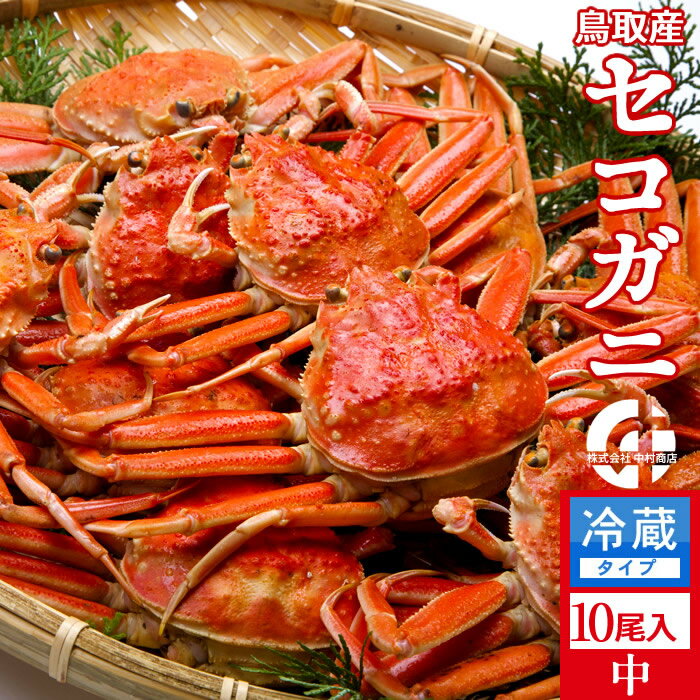 香箱がに せこ蟹 せいこ蟹【新物】中1.3kg（10尾入）浜ゆで かに セコガニ 松葉蟹のメス ゆでがに 鳥取県産 通販 産地直送 せこ蟹 せいこがに 親蟹 おすすめ［お歳暮 ギフト］