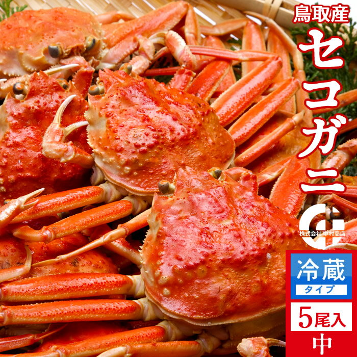 香箱がに せこ蟹 せいこ蟹【新物】中650g（5尾入）浜ゆで かに セコガニ 松葉蟹のメス ゆでがに 鳥取県産 通販 産地直送 せこ蟹 せいこがに 親蟹 おすすめ［お歳暮 ギフト］