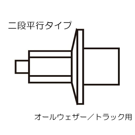 メール便発送可 ミズノ スパイクピン 8ZA301 (オールウェザー/トラック用)二段平行タイプ 陸上スパイクピン メール便発送可 ミズノ スパイクピン 8ZA301 (オールウェザー/トラック用)二段平行タイプ 陸上スパイクピン