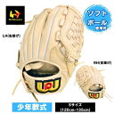ワールドペガサス 少年軟式野球グローブ エディットFL(ソフトボール使用可能) JR. 右投 左投 サイズS 小学生 WGJ4FEDS-0707 野球ジュニア軟...