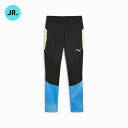 プーマ PUMA キッズ INDIVIDUAL ファイナル トレーニング パンツ 659859-02 ジュニアサッカートレーニングウェア(ロングパンツ) 特価