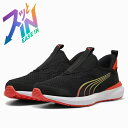 プーマ キッズ クルーズ プロフォーム イーズイン スニーカー 397633-01 キッズシューズ 01PUMA Black