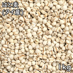 はと麦 (1kg) タイ産 【メール便対応/1kgまで】