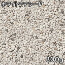 ホワイトチアシード (300g) ペルー産 【あす楽】【メール便対応/1kgまで】