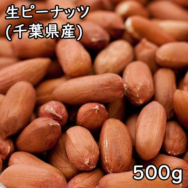 生ピーナッツ (500g) 令和5年 千葉県産 【メール便対応/1kgまで】