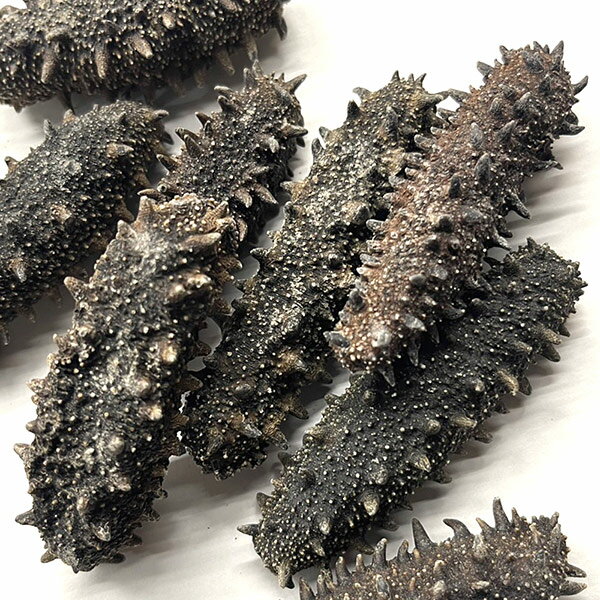 乾燥ナマコ (250g) <Lサイズ/約7~10g> 北海道産 【送料無料】