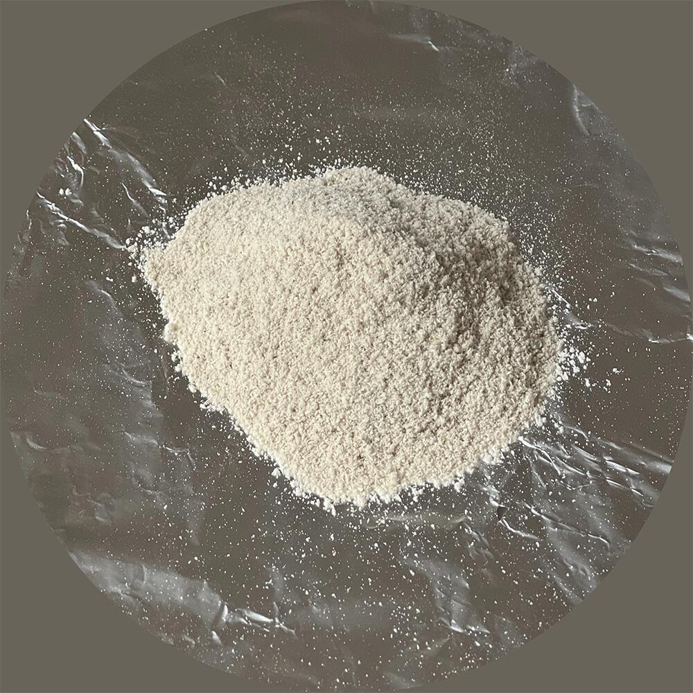 岩手県産露地栽培乾燥 Oyster Mushroom（ひらたけ）粉末 70g(全国一律・送料無料・同梱、代引不可・クリックポスト配送)