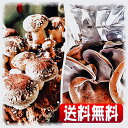 【送料無料】夏季栽培用品種使用【きのこ】だ。食べられるものを育てよう!おうちできのこ狩り!「しいたけ+きくらげ栽培キット2個セット」新登場!お子様の情操教育や食...