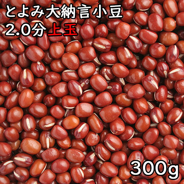 とよみ大納言小豆 (300g) 令和5年 北海道産 【メール便対応/1kgまで】