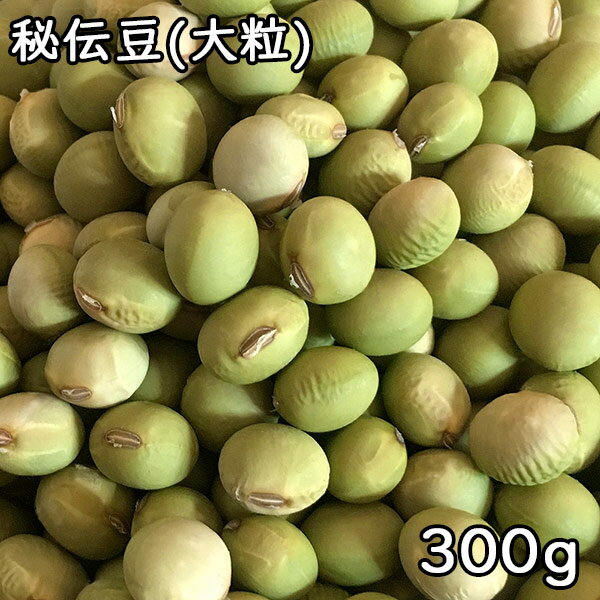 秘伝豆 (大粒) (300g) 令和6年 山形県産 【メール便対応/1kgまで】
