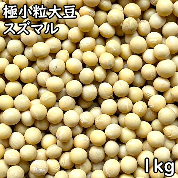 ɏ哤 XY} (1kg) kCY y[֑z