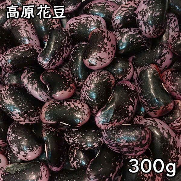 高原花豆 (300g)令和5年 群馬県嬬恋村